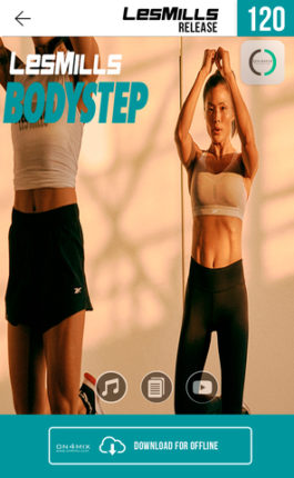 BODYSTEP-120