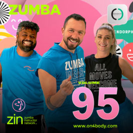 ZUMBA ZIN-95